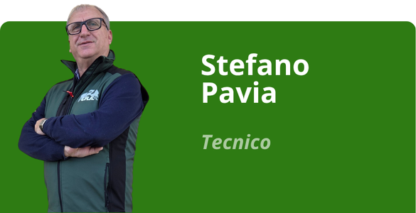 Immagine team