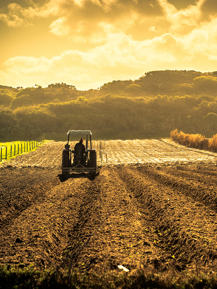 Consorzio Romagnolo Agriservizi