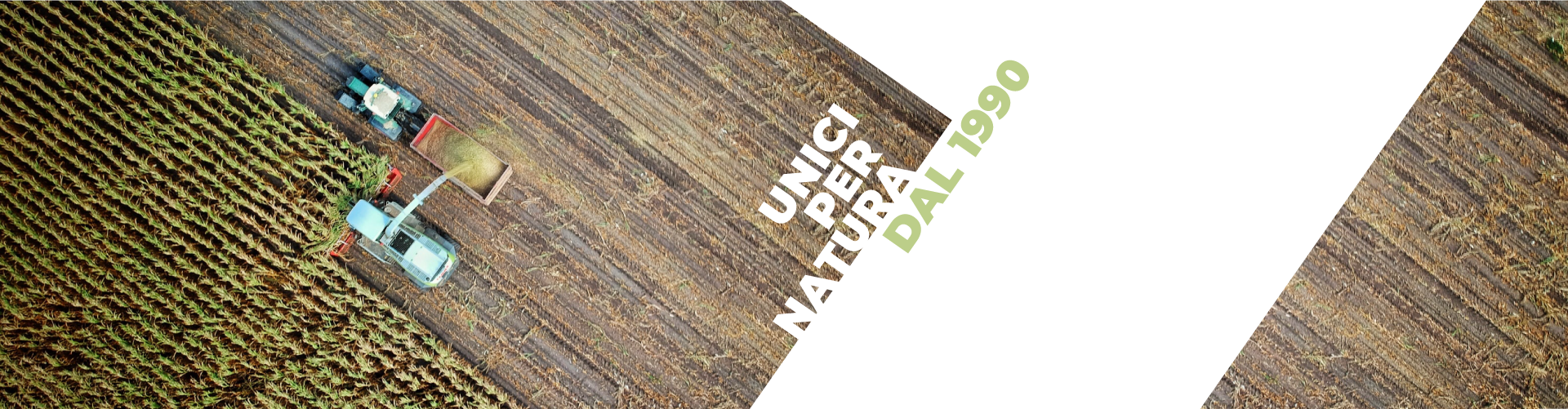 CRA - dal 1990 unici per natura CRA - dal 1990 unici per natura