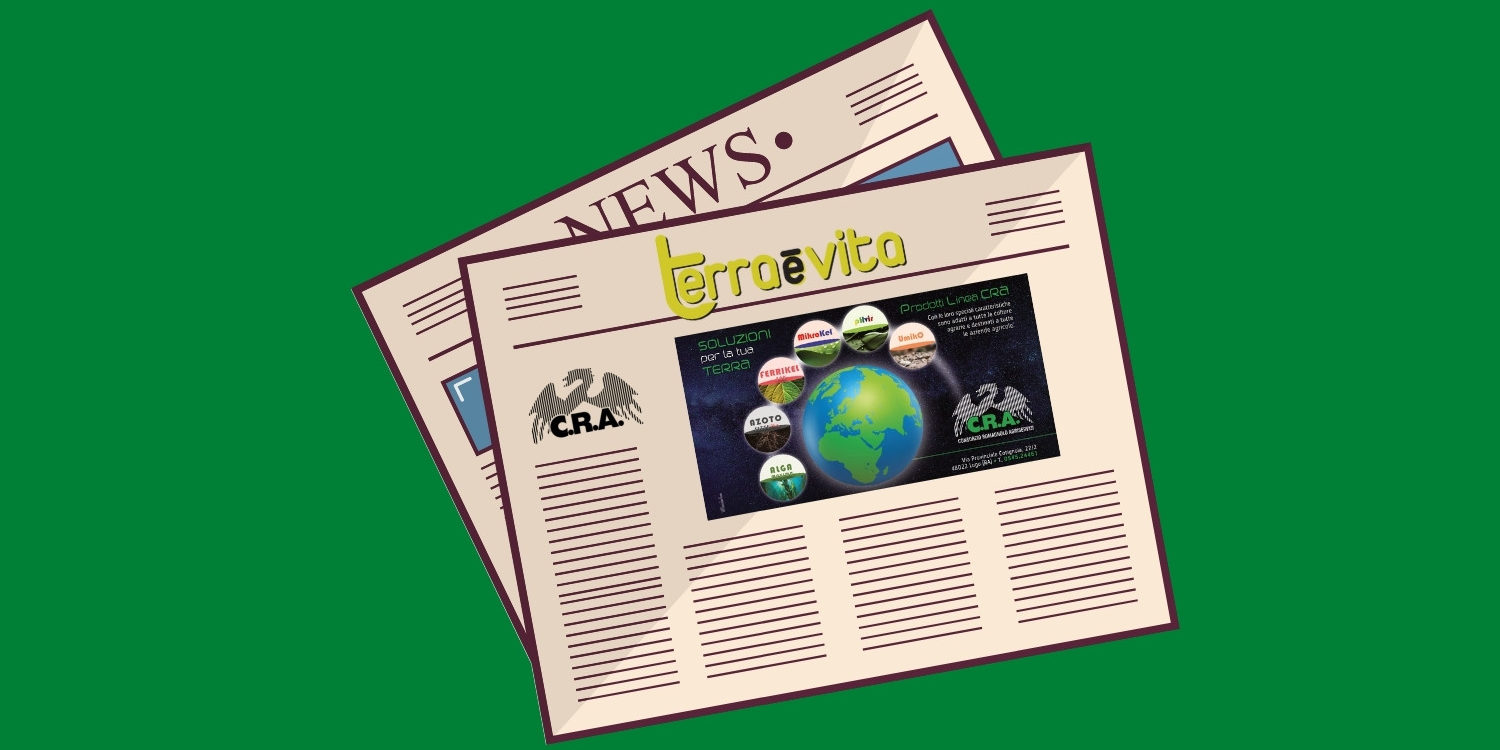 Pubblicazioni 2020 – T&V