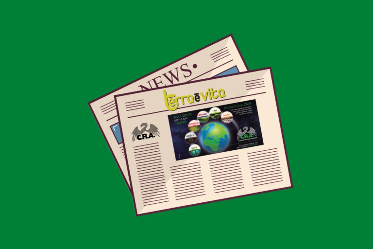 Pubblicazioni 2020 – T&V Pubblicazioni 2020 – T&V