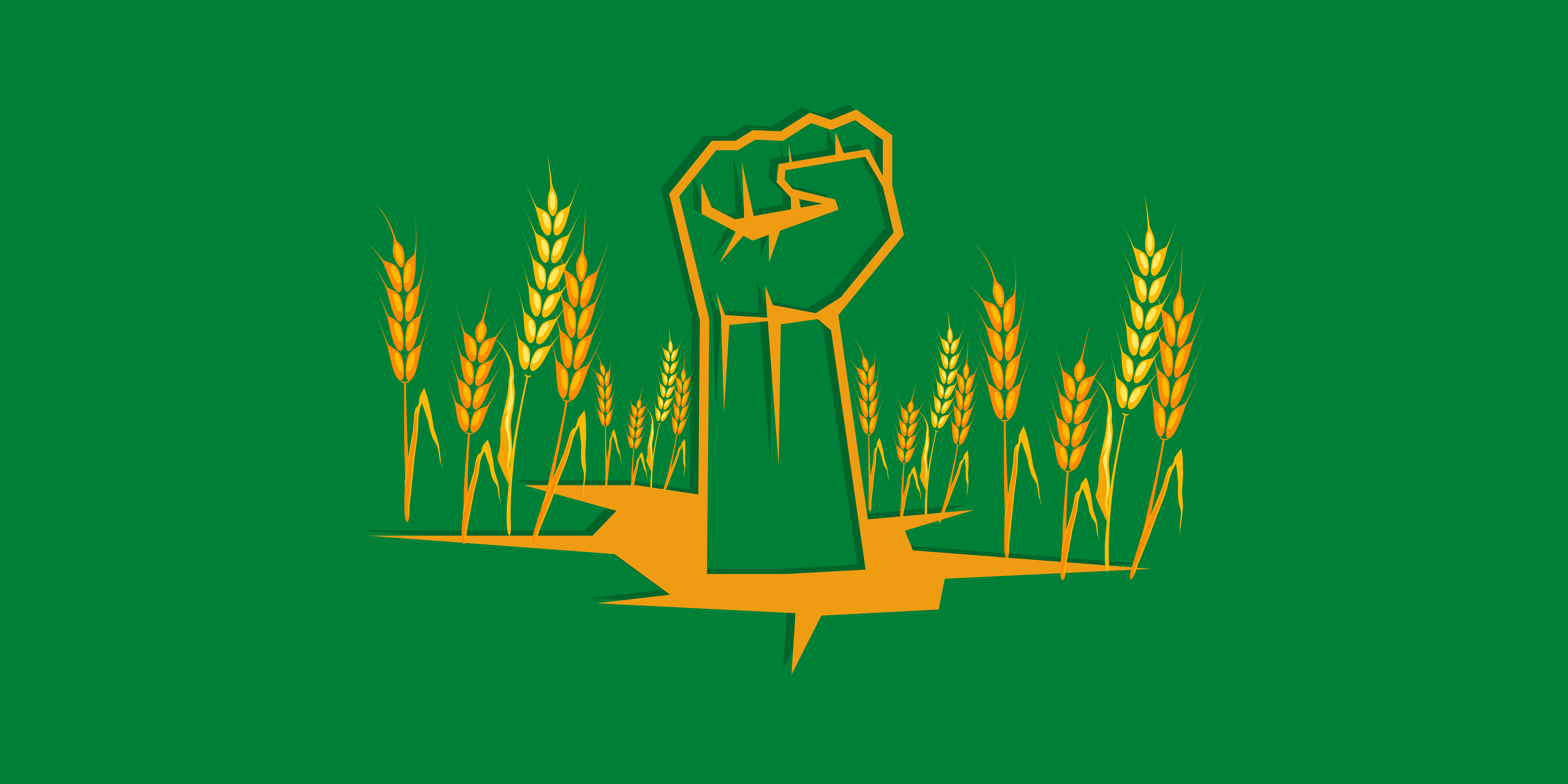 News Rodeo Plus+Carrier