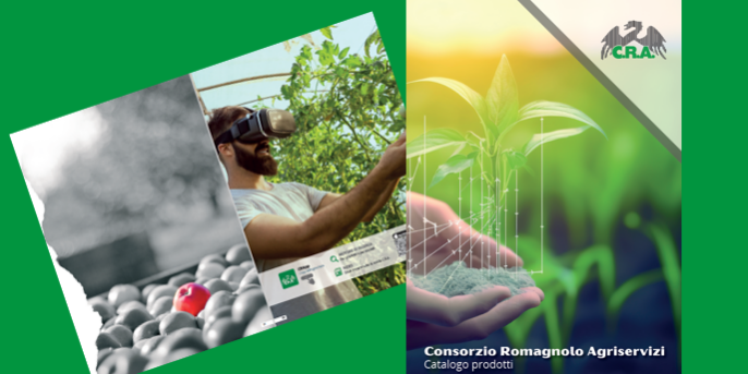 Screenshot 2024-01-26 174838