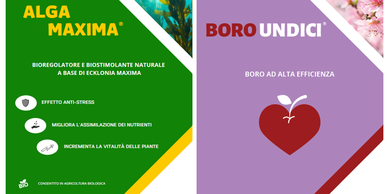 Screenshot 2024-03-11 074903