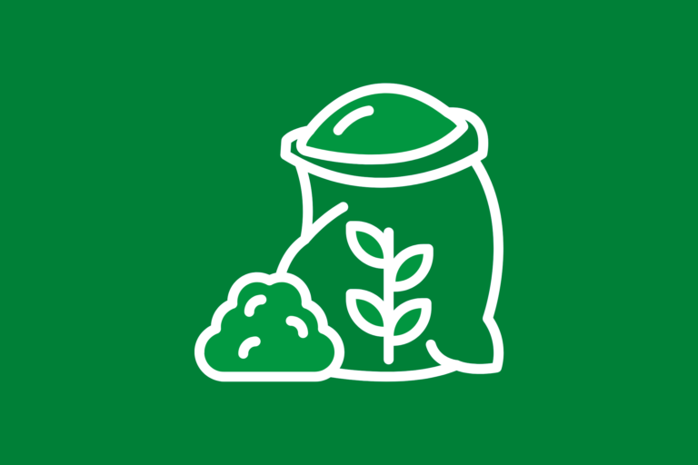 News 1 Febbraio 2026