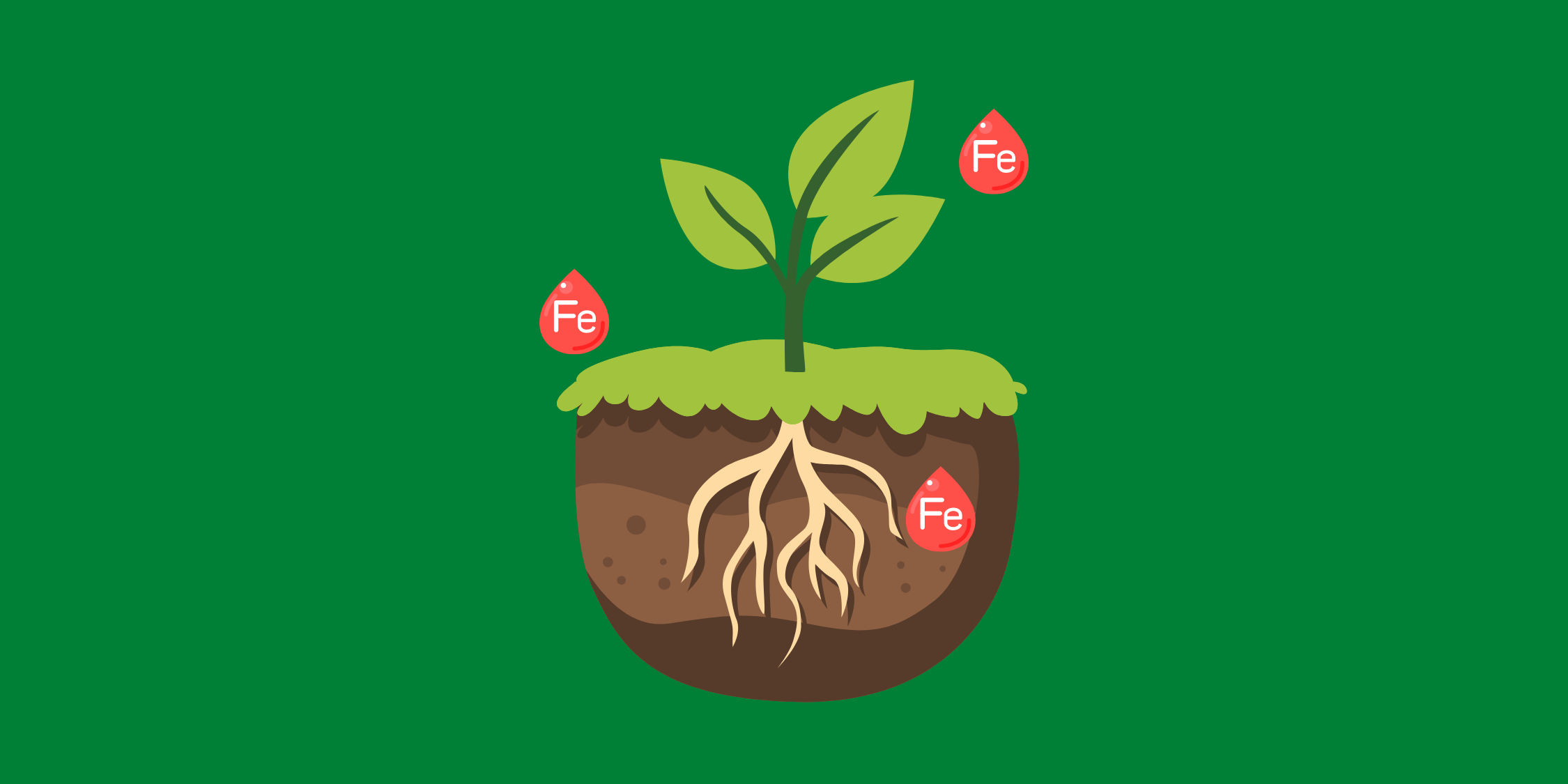 Immagini News per WordPress